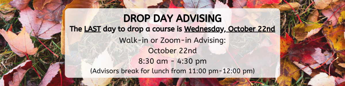 Fall leaves with text overlay: Walk-in and Zoom meeting today for last day to drop a course