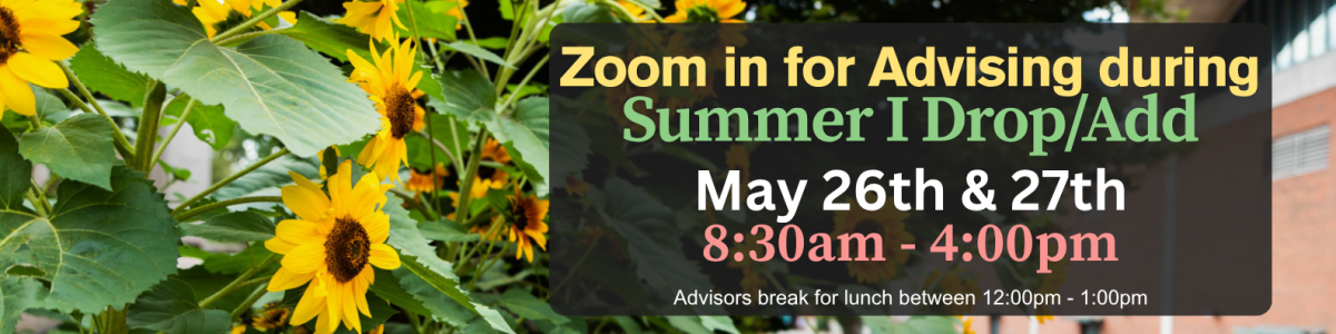 Yellow sunflowers with text saying Zoom in for Summer 1 Drop/Add May 26 & 27
